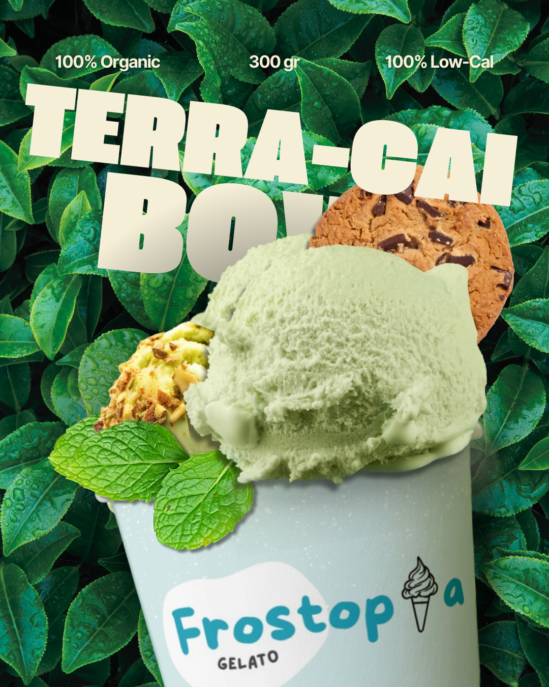 Acai Bowl Series (2)